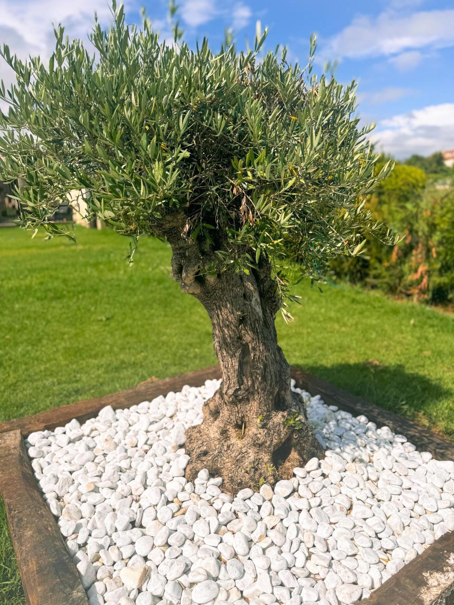 Villa Adina Sanxenxo - Rias Baixas Luaran gambar